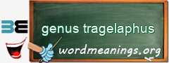 WordMeaning blackboard for genus tragelaphus